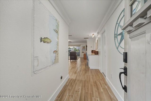 3288 Minnow Creek Drive, Hernando Beach, FL 34607