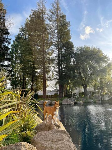 1009 Copper Lake Ct, Modesto, CA 95355