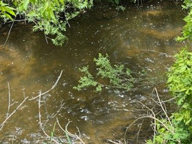 105 Loomis Lane, Columbus, NY 13460