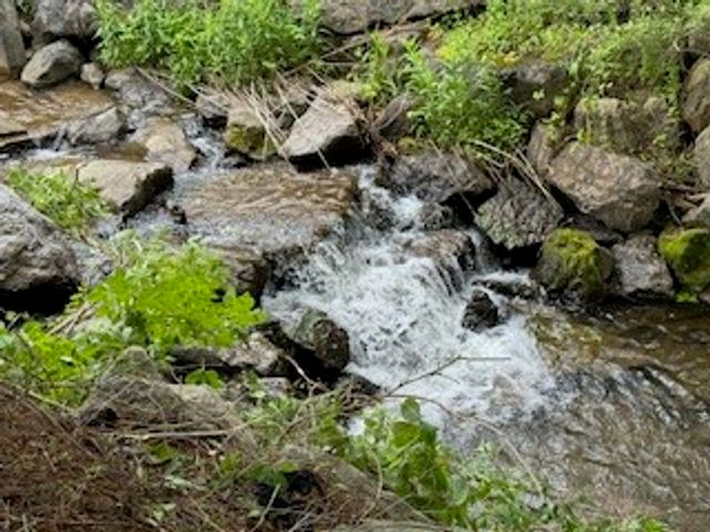 105 Loomis Lane, Columbus, NY 13460