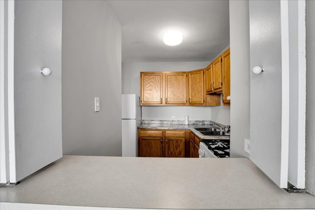 2901 S Michigan Avenue 1301, Chicago, IL 60616