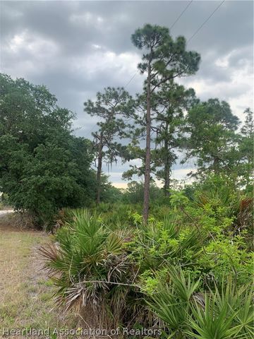 615 Wildflower Street, Lake Placid, FL 33852