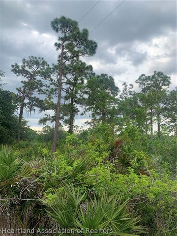 615 Wildflower Street, Lake Placid, FL 33852