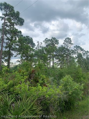 615 Wildflower Street, Lake Placid, FL 33852