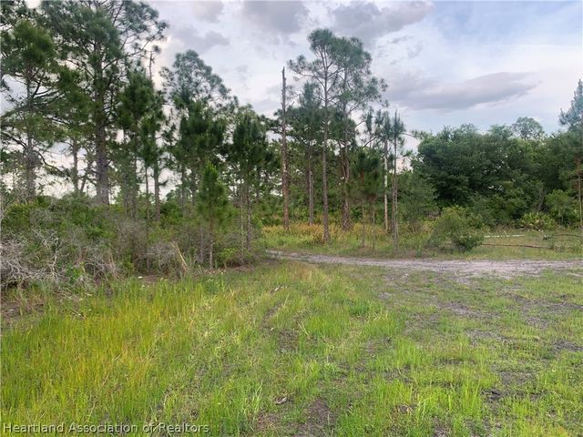 615 Wildflower Street, Lake Placid, FL 33852