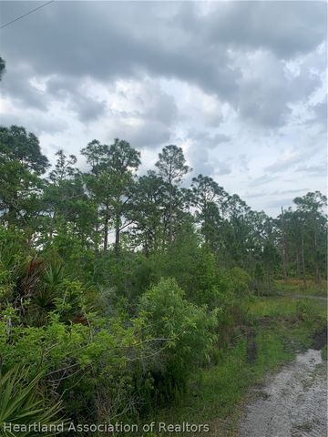 615 Wildflower Street, Lake Placid, FL 33852