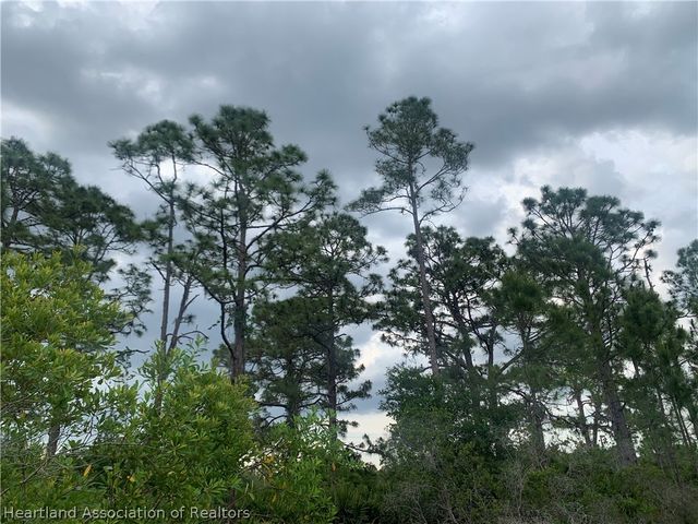 615 Wildflower Street, Lake Placid, FL 33852