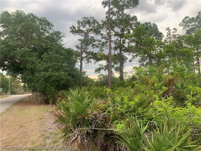 615 Wildflower Street, Lake Placid, FL 33852