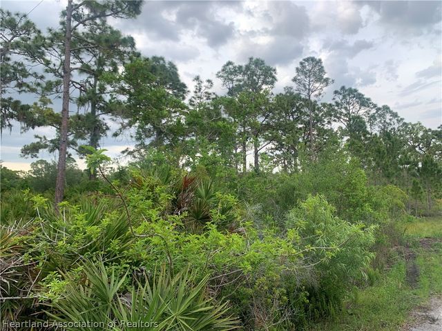 615 Wildflower Street, Lake Placid, FL 33852