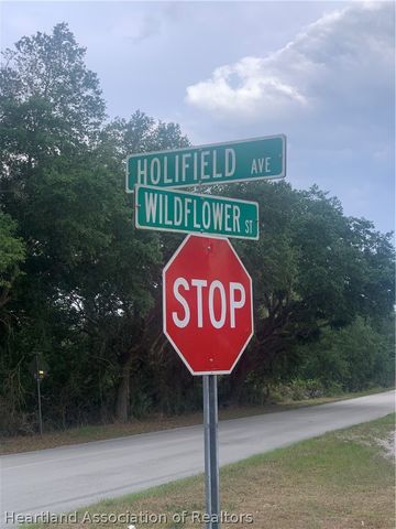 615 Wildflower Street, Lake Placid, FL 33852