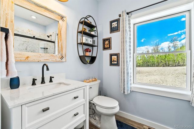 1023 Mexican Ridge Circle, Como, CO 80432