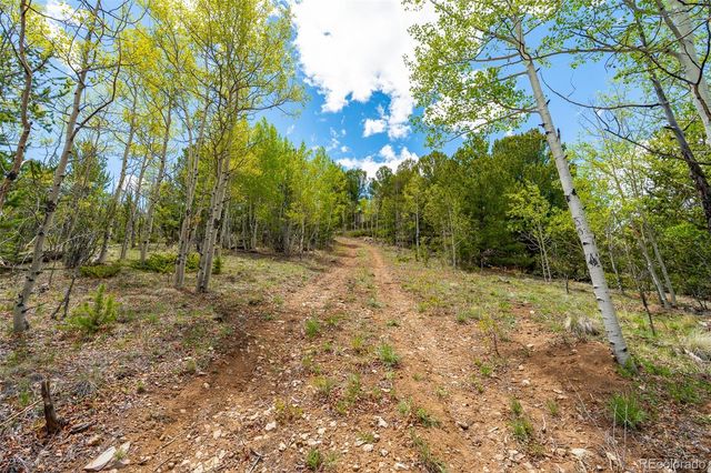1023 Mexican Ridge Circle, Como, CO 80432