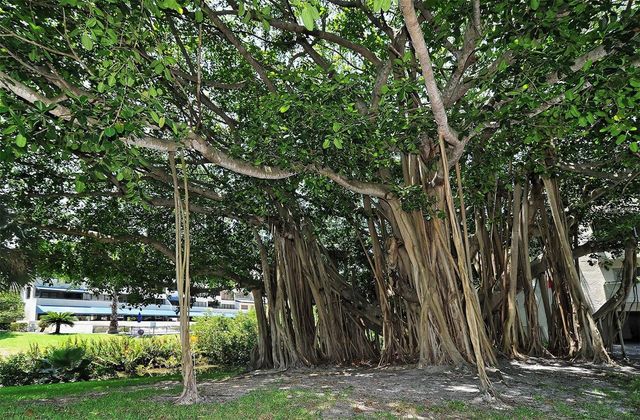 835 S OSPREY AVENUE 201, Sarasota, FL 34236