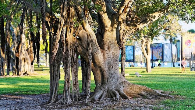 835 S OSPREY AVENUE 201, Sarasota, FL 34236