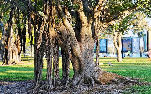 835 S OSPREY AVENUE 201, Sarasota, FL 34236