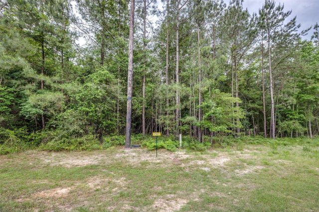 17827 Indigo Hills Drive, Magnolia, TX 77355