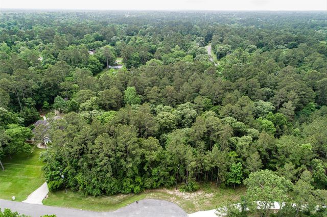 17827 Indigo Hills Drive, Magnolia, TX 77355