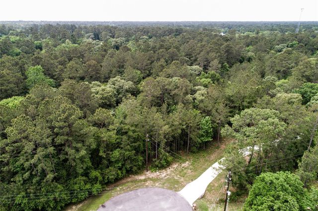 17827 Indigo Hills Drive, Magnolia, TX 77355