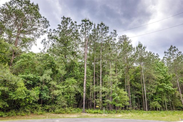 17827 Indigo Hills Drive, Magnolia, TX 77355