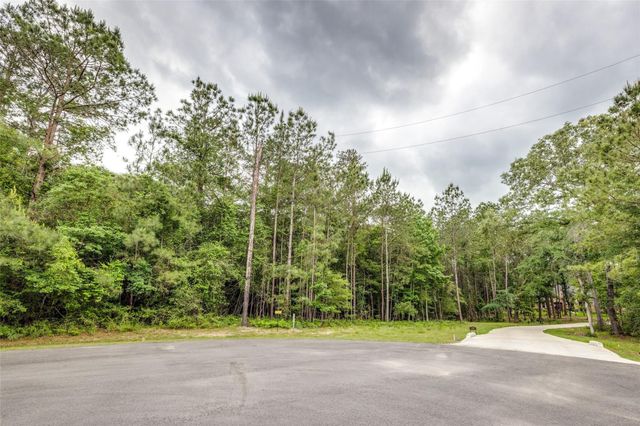 17827 Indigo Hills Drive, Magnolia, TX 77355