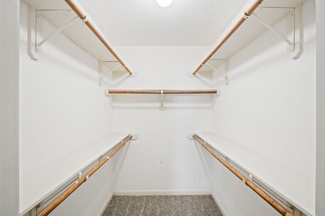 24307 Silver Maple Drive, Houston, TX 77336