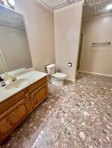 126 Cobblestone Hills, O'fallon, IL 62269