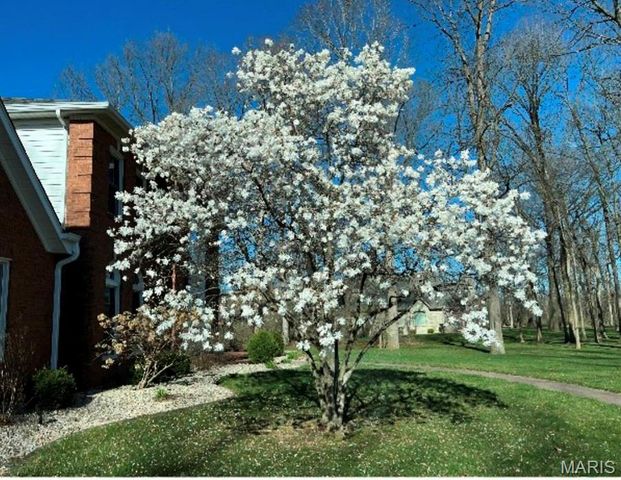 126 Cobblestone Hills, O'fallon, IL 62269