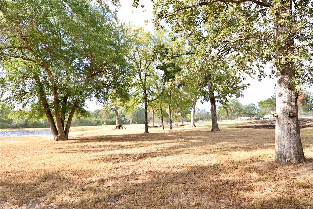 9277 Clara Lane, Franklin, TX 77856 — photo 2
