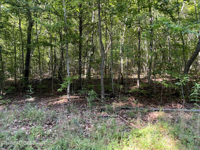 Lot 1 Keylon Hollow Road, Ten Mile, TN 37880