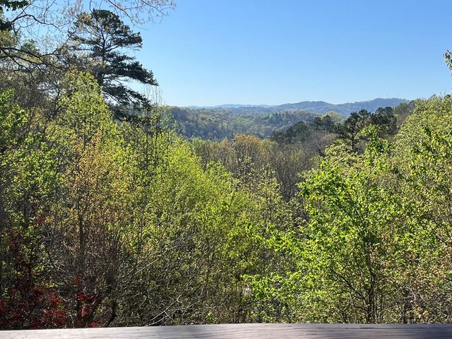 326 Garfield Drive, Ellijay, GA 30540