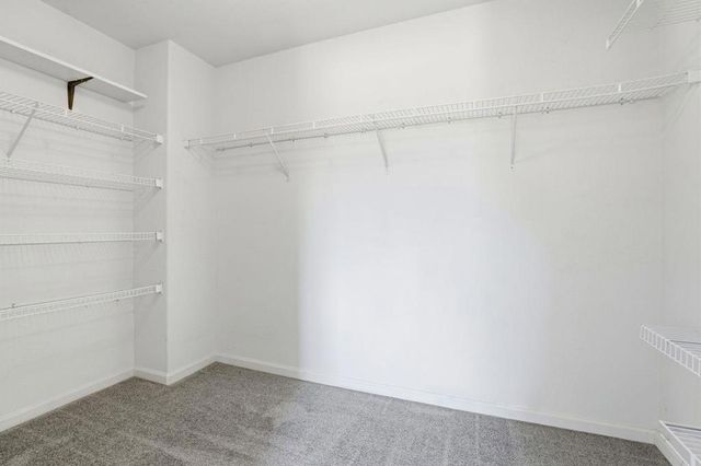 2207 Gianera Street, Santa Clara, CA 95054