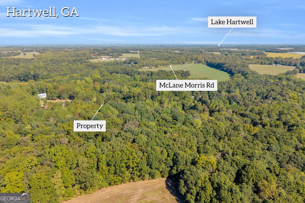 0 Tony Drive, Hartwell, GA 30643 — photo 5