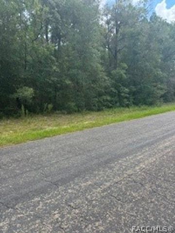 9546 N Travis Drive, Citrus Springs, FL 34434