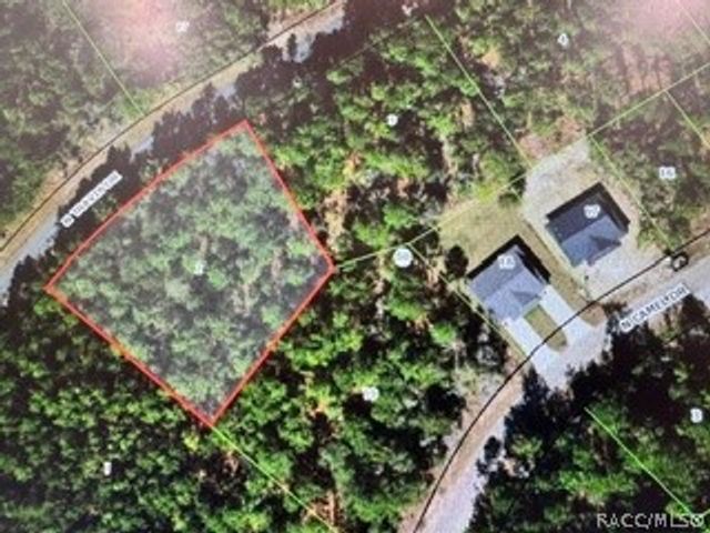 9546 N Travis Drive, Citrus Springs, FL 34434