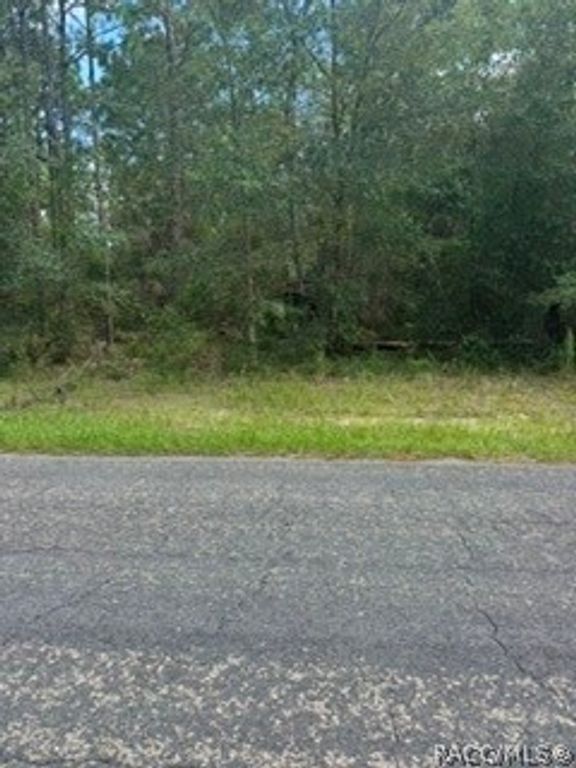 9546 N Travis Drive, Citrus Springs, FL 34434