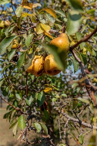 14225 Highway 68 South, St James, MO 65559