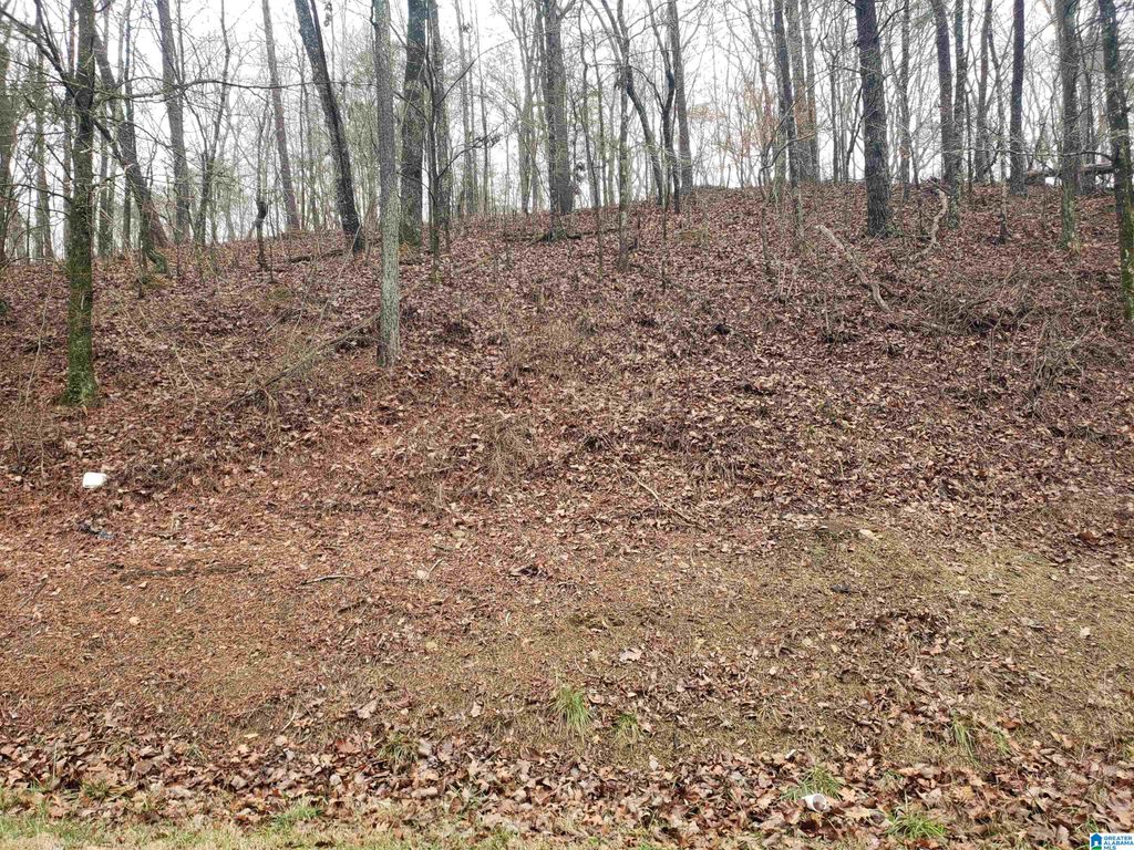 4480 SHADY GROVE ROAD, Gardendale, AL 35071