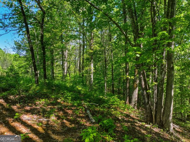 LOT 6 Summit Drive, Dahlonega, GA 30533