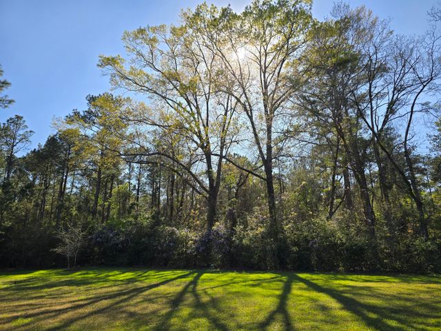 7220 Hart Road, Laurel Hill, FL 32567