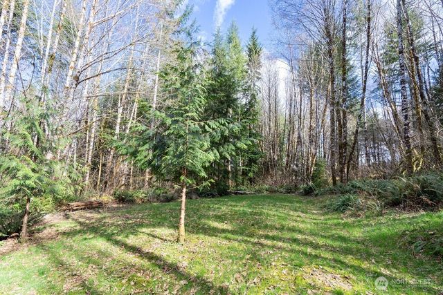 50 Raspberry Road, Elma, WA 98541