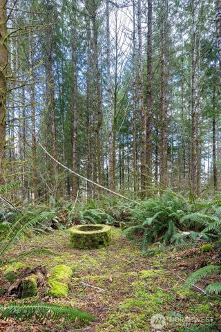 50 Raspberry Road, Elma, WA 98541