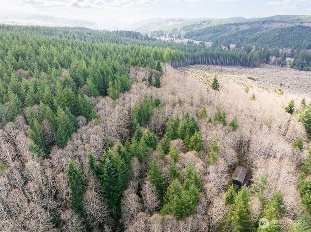 50 Raspberry Road, Elma, WA 98541