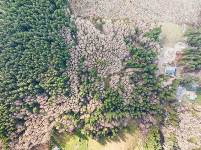 50 Raspberry Road, Elma, WA 98541