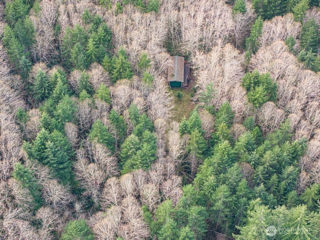 50 Raspberry Road, Elma, WA 98541