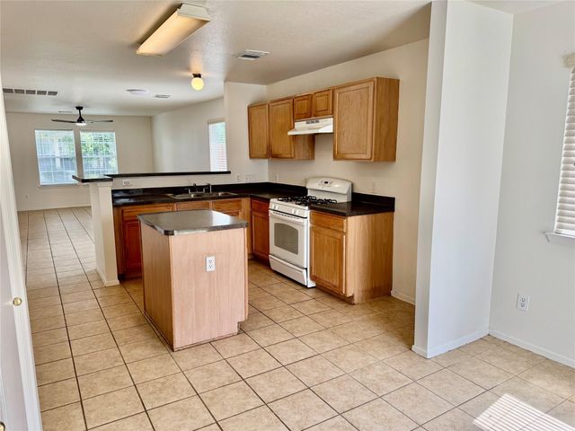 19419 Richland Springs Drive, Houston, TX 77073