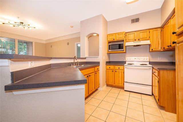 6663 QUEENS BOROUGH AVENUE 208, Orlando, FL 32835