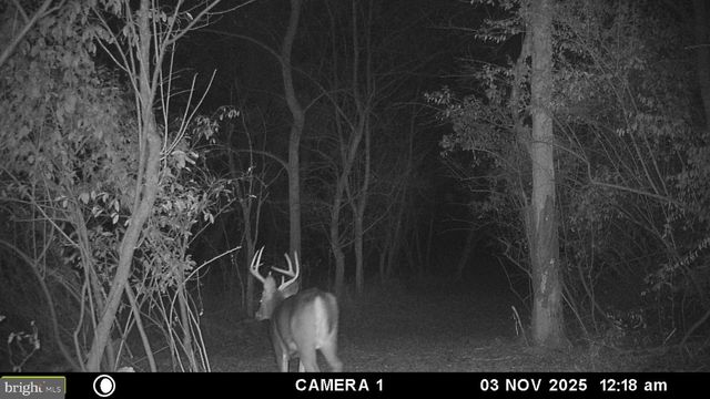 2983 OLD WINCHESTER RD, Boyce, VA 22620