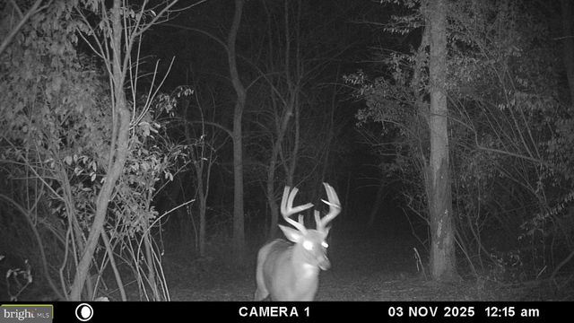 2983 OLD WINCHESTER RD, Boyce, VA 22620