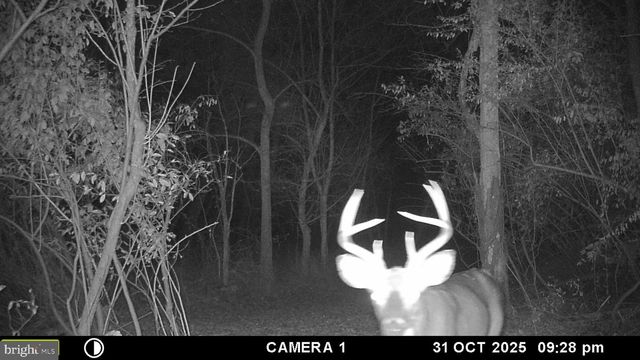 2983 OLD WINCHESTER RD, Boyce, VA 22620