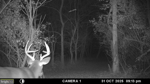 2983 OLD WINCHESTER RD, Boyce, VA 22620